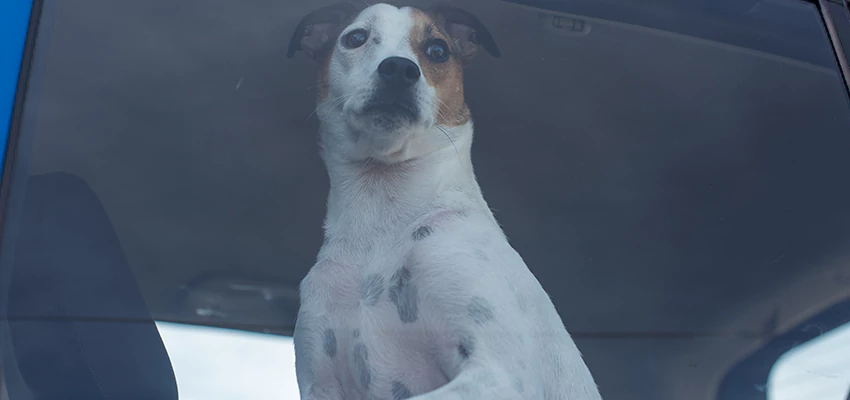 Car Lockout Solutions in Del Aire, California